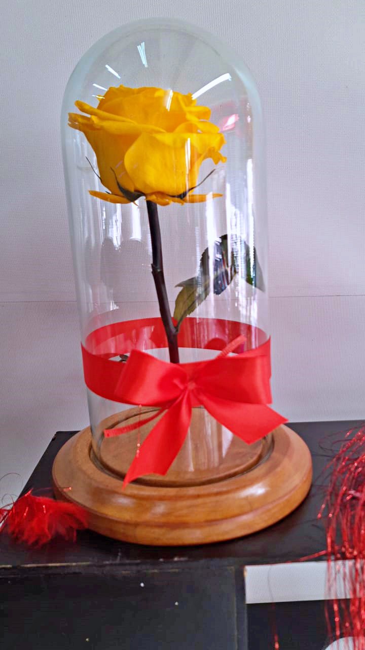 flores-inmortalizadas-03-
