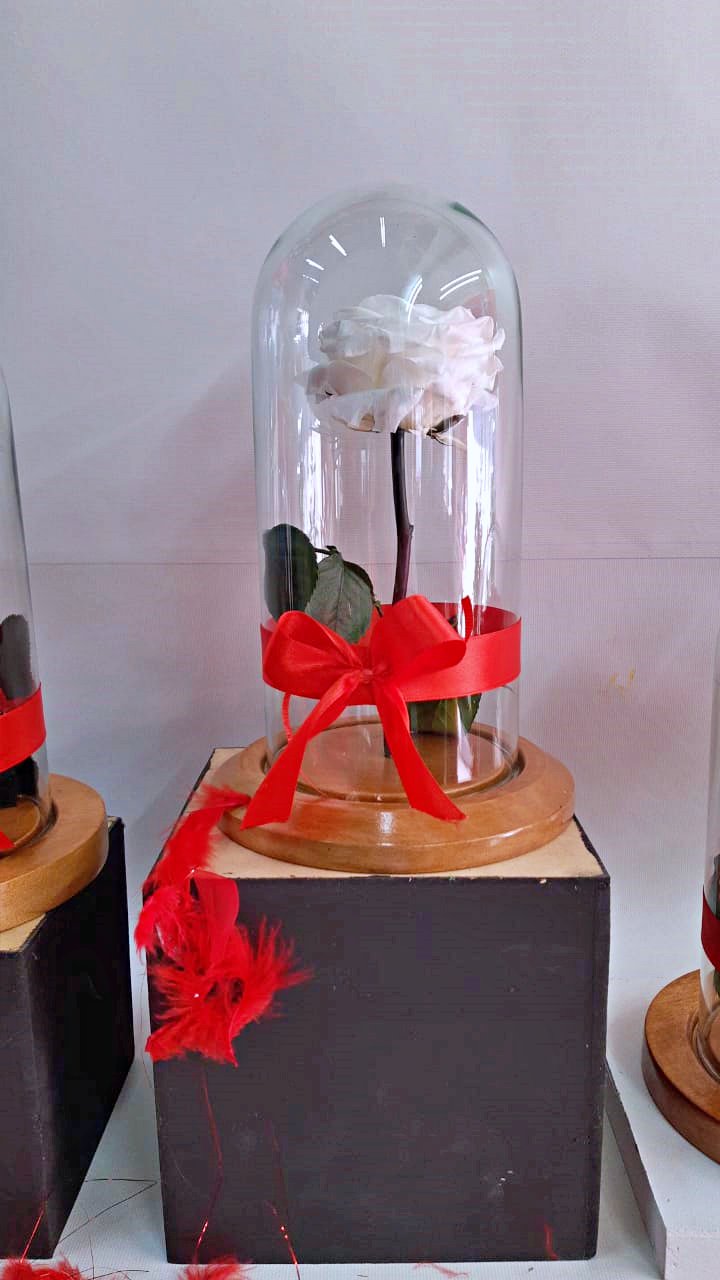 flores-inmortalizadas-04-